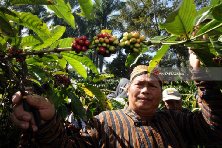 Kopi