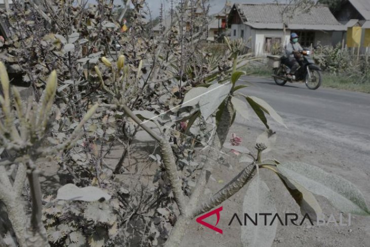Abu vulkanik Gunung Agung papar sejumlah wilayah di Bali