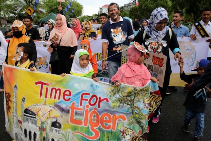 THA suarakan penyelamatan harimau sumatera