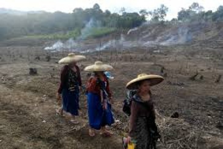 Pemuka Adat Badui minta Presiden bantu tambahan lahan