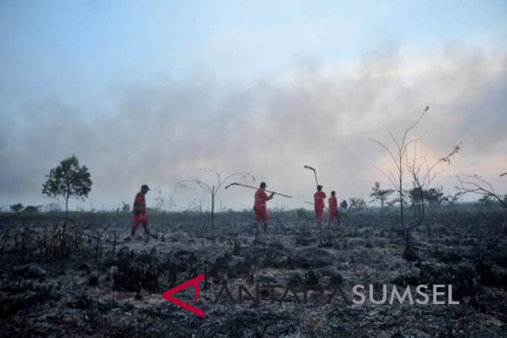 South Sumatra adopts precautionary measures to avert forest fires