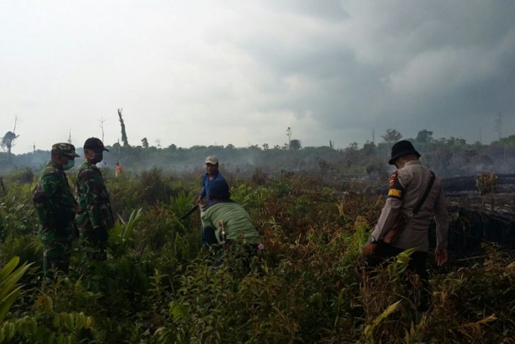 Polres Tanjab Timur tangani kasus karhutla