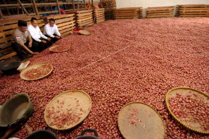 Produksi bawang merah naik