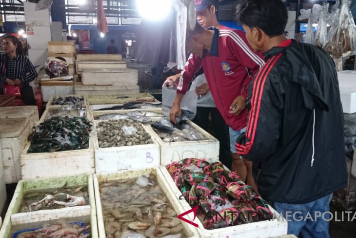 Cuaca membaik, harga ikan laut kembali normal