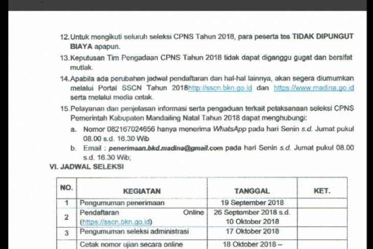 Rincian Formasi Dan Jabatan Cpns Mandailing Natal Antara