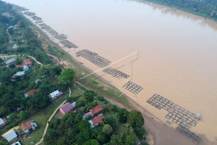 Bangka Barat tingkatkan penganekaragaman makanan berbahan ikan