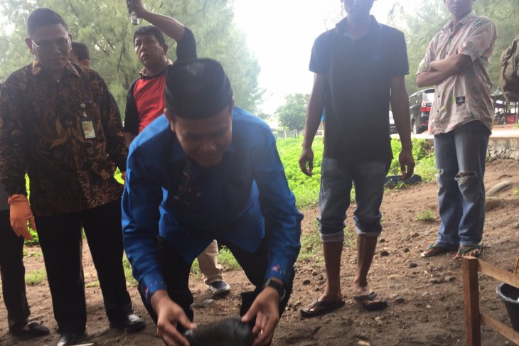 Pelatih Persib heran beratnya sanksi bagi timnya