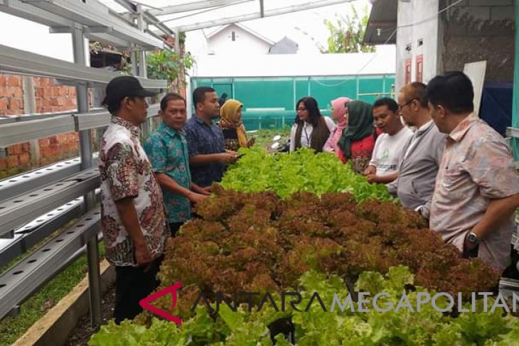 Pemuda Sukabumi manfaatkan lahan rumah untuk bertani