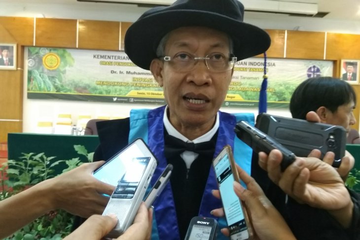 Inovasi Balitbangtan tingkatkan produksi lada nasional
