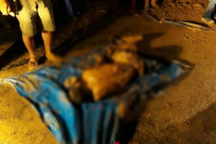 Tiga orang tewas tertimbun longsor di Muara Batang Gadis