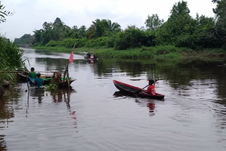 Warga Rasau Jaya Heboh Nangguk Ikan Ringau Di Sungai Antara