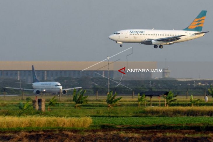 Merpati Wajib Ikuti Tahapan Jika Ingin Terbang Kembali Antara