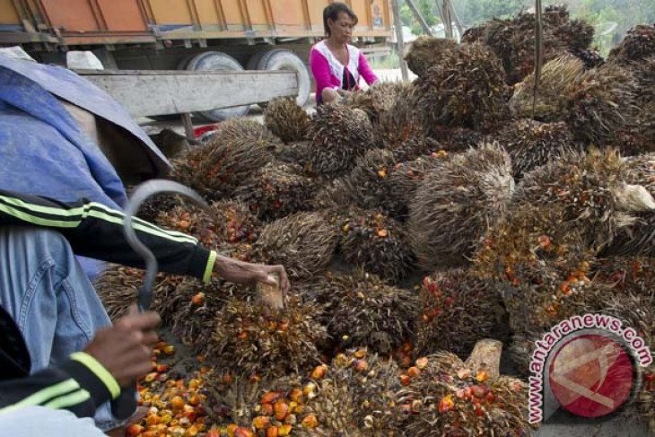 Indonesia desak UE stop pelabelan produk