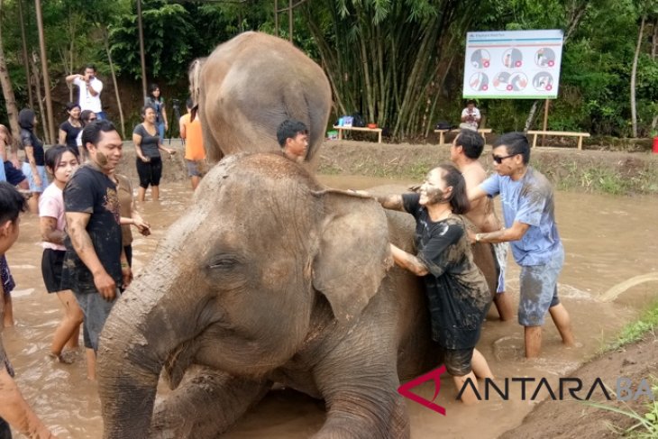 Bali Zoo presents activity of