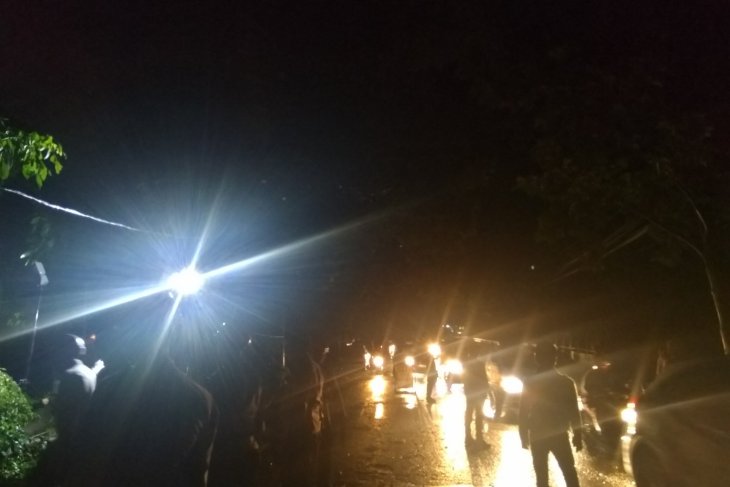 Jalan Lawang Gintung bisa dilalui pascaangin kencang