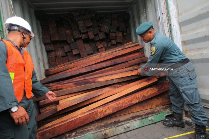 Kementerian LHK Selidiki Penyelundupan Kayu asal Sorong