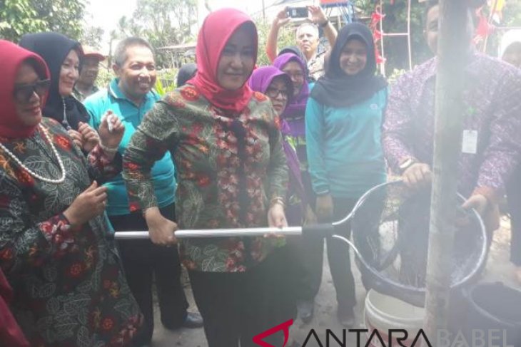 DKP-PKK Bangka panen lele kelompok mitra binaan pangan