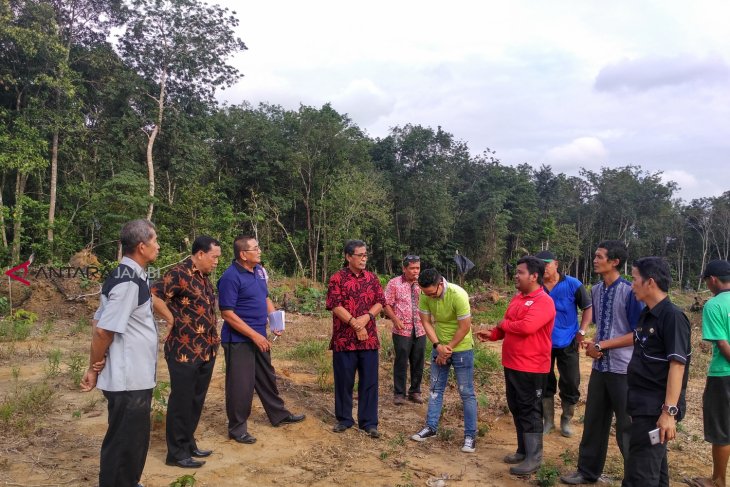 Sekda Batanghari tinjau lokasi peremajaan kebun karet
