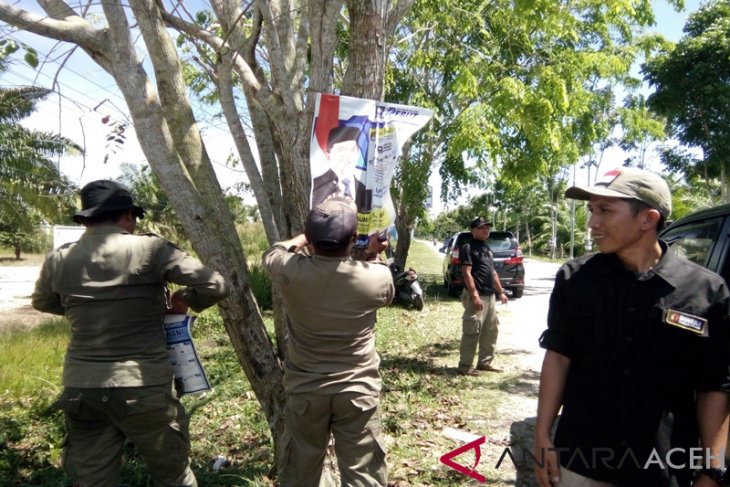 Satpol Singkil bongkar APK yang dipaku di pohon