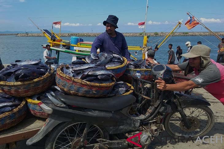 Pedagang ikan direlokasi dari PPS Kutaraja Banda Aceh
