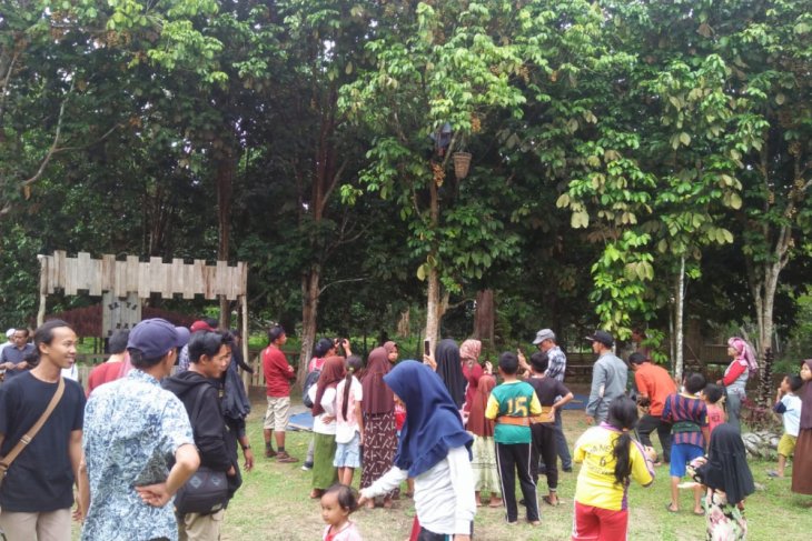 Duku jadi buah tangan wisatawan Muarojambi pekan ini