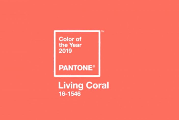 Living Coral jadi tren warna 2019