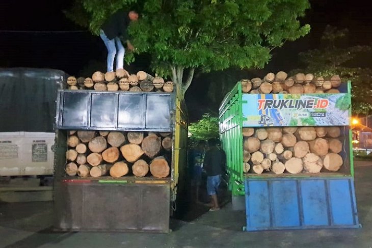 Polres Tebo amankan tiga truk pengangkut kayu illegal