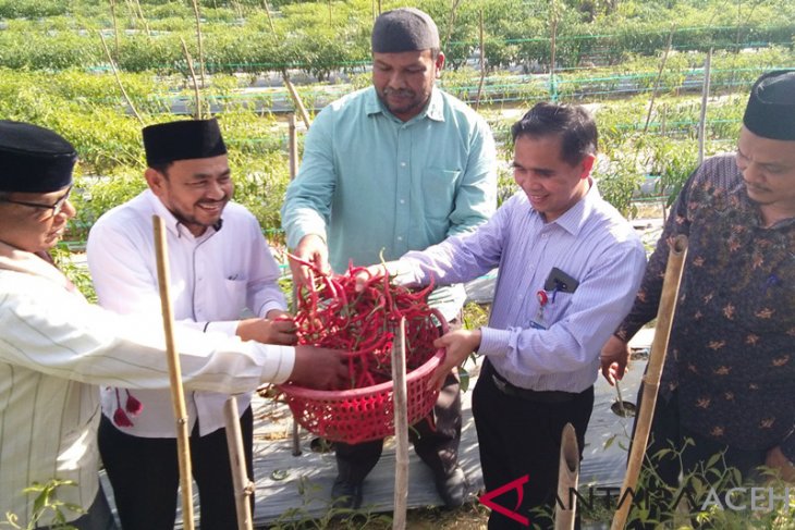 BI Lhokseumawe bina pengembangan ekonomi pesantren