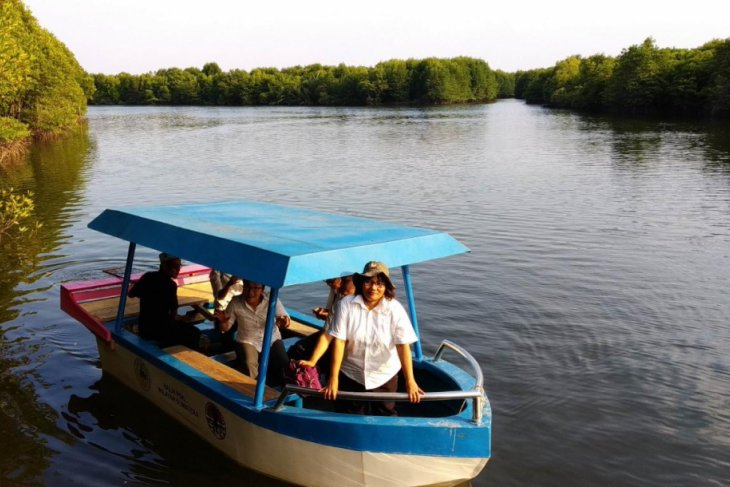 Hutan Mangrove Lubuk Kertang Ikon Wisata Langkat Antara