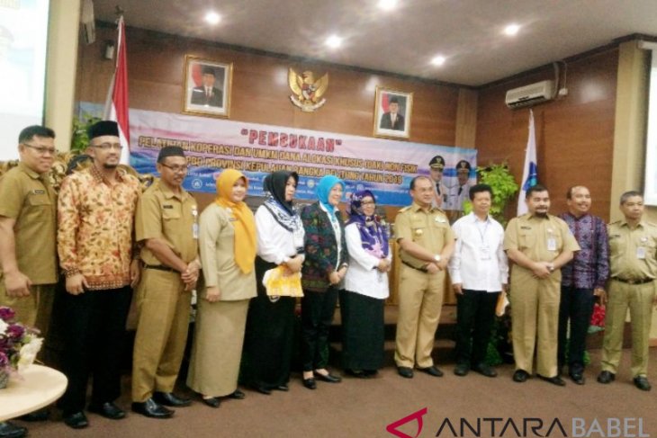 Kemenkop-UKM RI apresiasi Pemprov Babel dampingi koperasi-UMKM