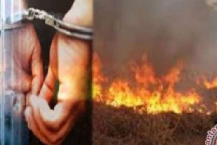 Polda Riau tetapkan 59 tersangka pembakar hutan dan lahan