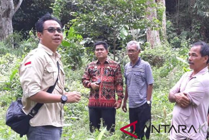 Kalbar serius kembangkan Durian Serumbut