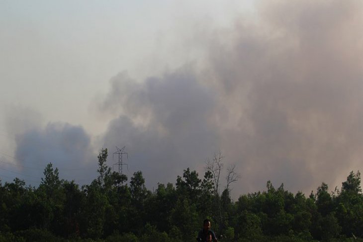 Tackling forest fires in 5 Indonesian provinces