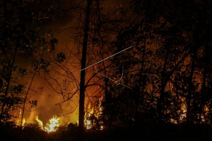Terra and Aqua Satellites detect 165 hotspots in Riau, Sumatra
