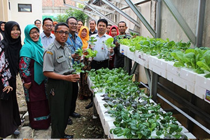 BPTP panen sayuran hidroponik dengan bahan daur ulang