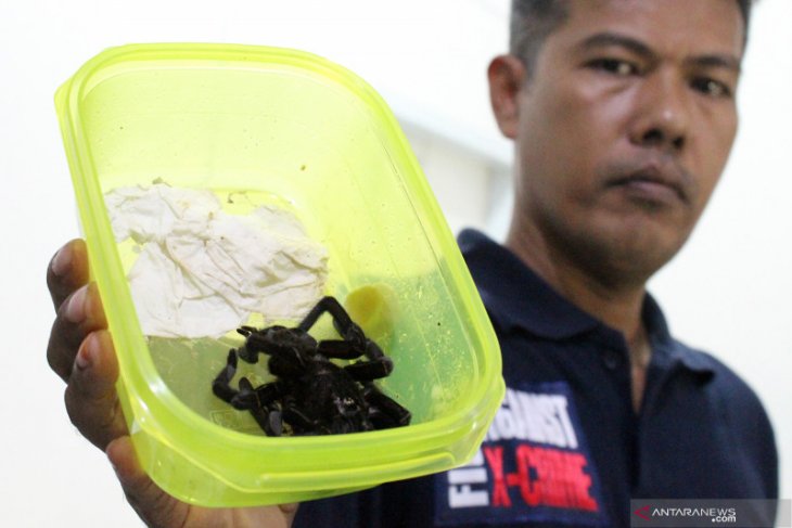 Empat warga Polandia segera di deportasi Imigrasi Sanggau