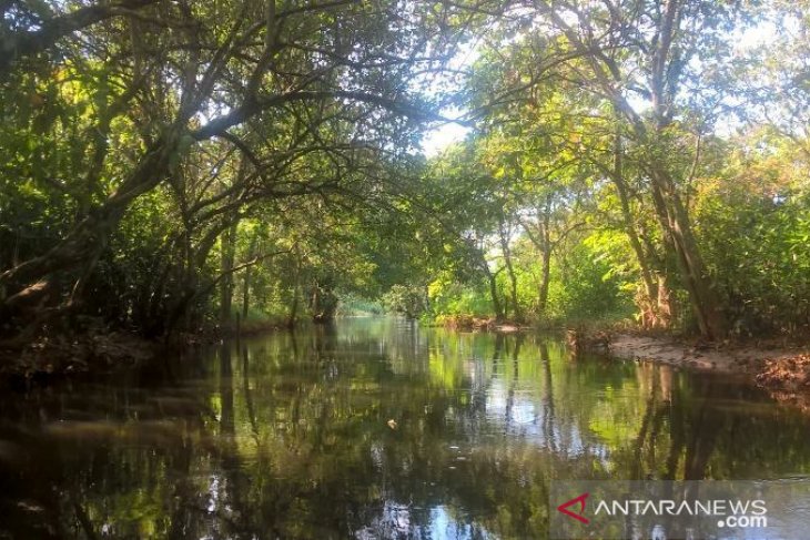 Pecinta sungai GMSS sebut SKM sepotong surga Samarinda