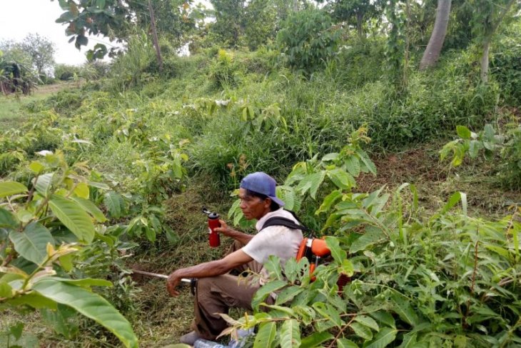 GMSS-SKM tanam 9.000 berbagai jenis pohon