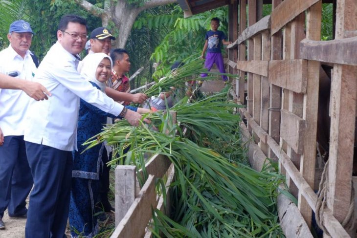 Bupati Muaro Jambi apresiasi program revitalisasi ekonomi rakyat di lahan gambut