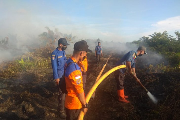 Aceh's six-hectare palm oil plantation area ravaged by fire