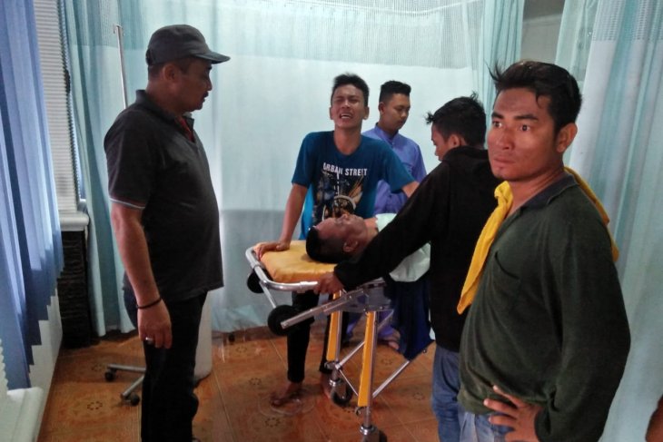 Satu meninggal ditimpa pohon aren di Langkat, empat luka-luka