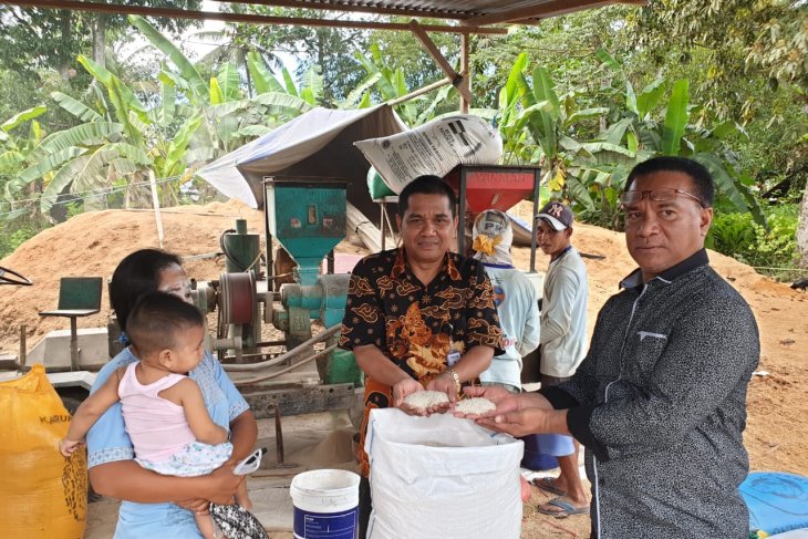 Bulog beli beras petani Pulau Buru