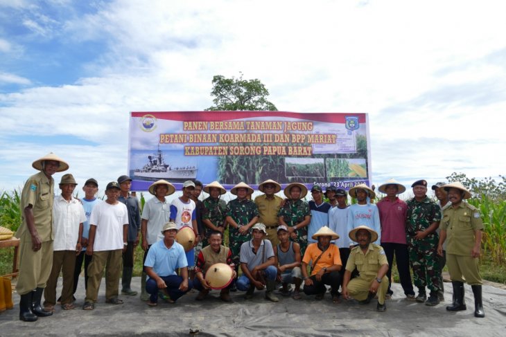 TNI AL dan petani di Sorong panen jagung