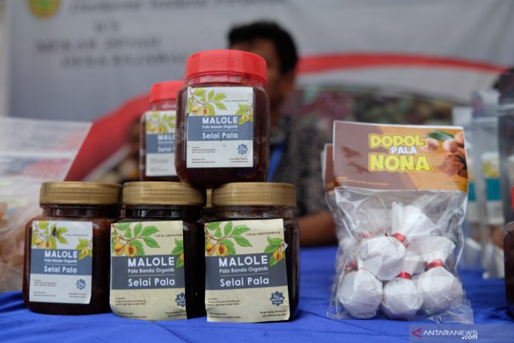 BPS realisasi eskpor Maluku Juli 2019 turun