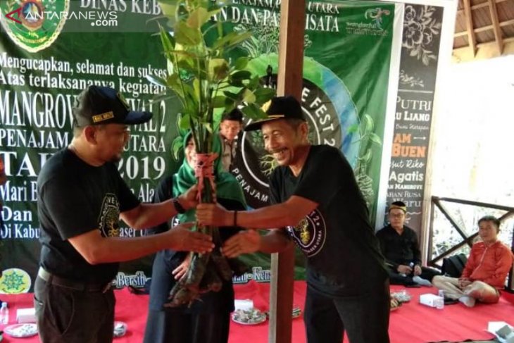 Festival Mangrove Penajam ditandai penanaman 500 batang bibit bakau