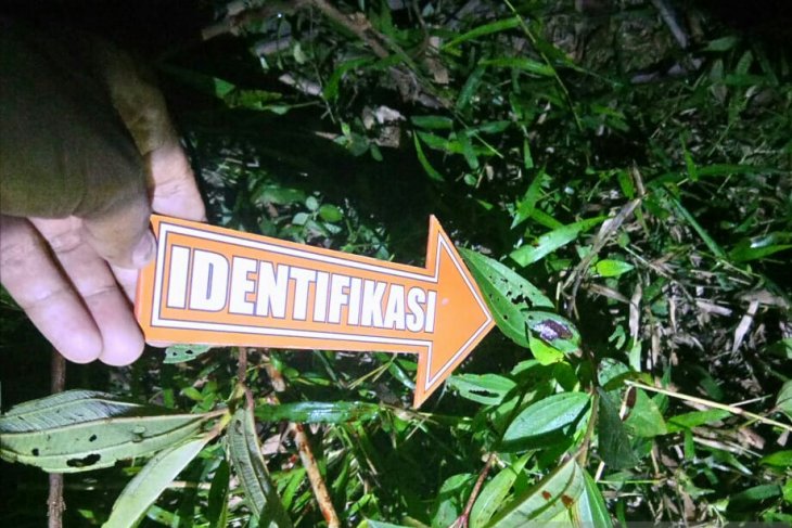 Pria gangguan jiwa di Aceh Utara bacok saudara kandung hingga tewas