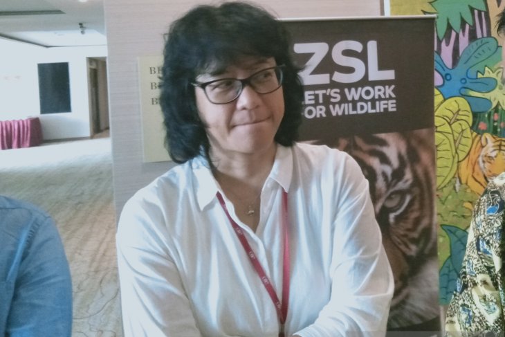 KLHK: 61 persen jalur jelajah Harimau Sumatera di luar kawasan konservasi