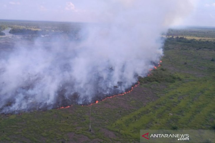 Mily joins efforts to halt forest fires in South Sumatra