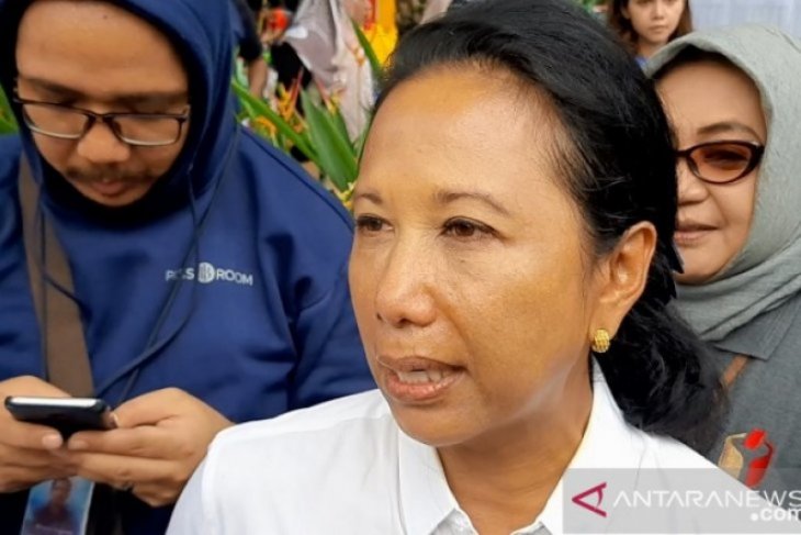 Menteri BUMN: Tarif Garuda akan ikuti aturan Kemenhub
