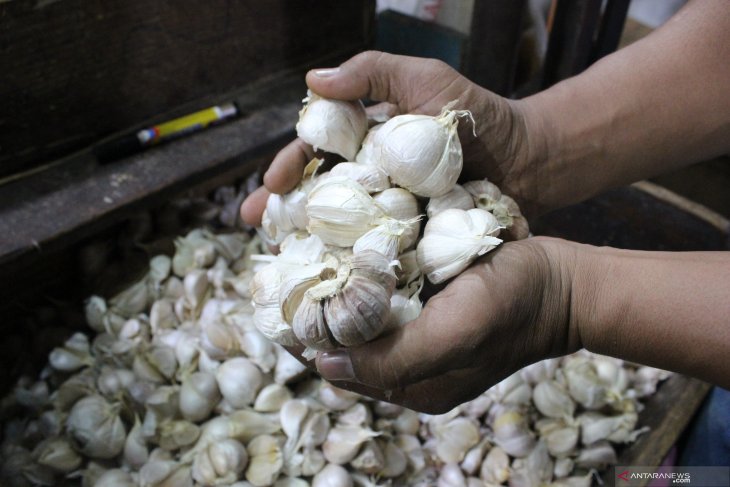 Disperindag bawang putih impor masuk Ambon harga turun